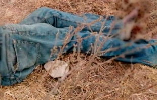 Abandonan a dos hombres muertos en terrenos de siembra de #Acolman y #Chiautla