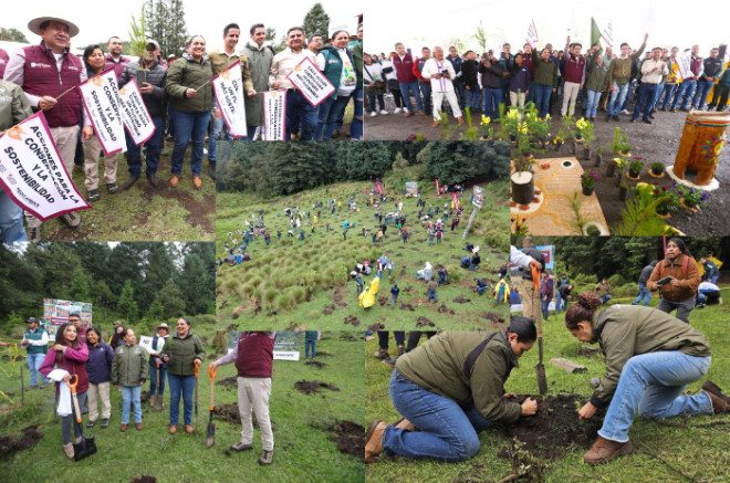 Jornada de reforestación con especies nativas en Jilotzingo