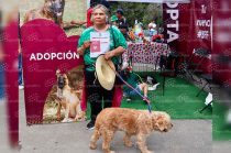 La primera adopción de la jornada mundialista se concretó en la Plaza de los Mártires, donde una mujer de Lerma decidió darle un nuevo hogar a un perro de siete años.