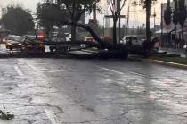 #Video: ¡Impresionante! Fuertes vientos derriban árbol en #Toluca