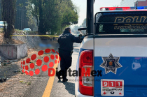 Autoridades estatales iniciaron una investigación para identificar al responsable del atropellamiento.