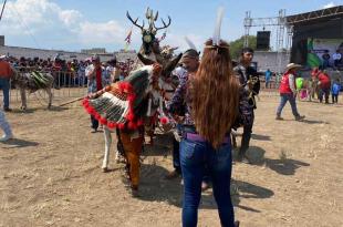 Los burros disfrazados fueron la sensación