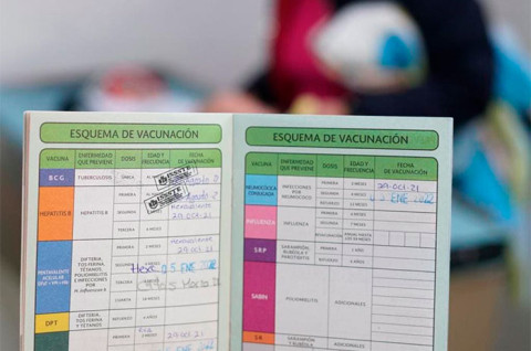 El documento permite llevar el registro de todas las vacunas aplicadas a lo largo de la vida.