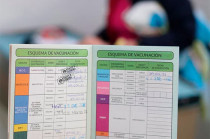 El documento permite llevar el registro de todas las vacunas aplicadas a lo largo de la vida.