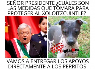 Apoyos sociales AMLO