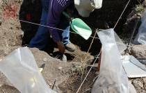 Buscan universitarios juego de pelota en Ocuilan; iniciarán excavaciones