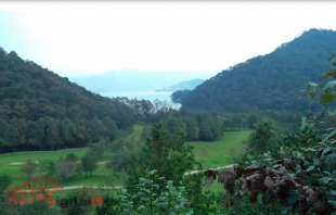 Ambientalistas buscan proteger 80 hectáreas de bosque en Valle de Bravo