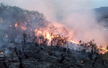 #Tejupilco: Sofocan incendio en la comunidad del Capire