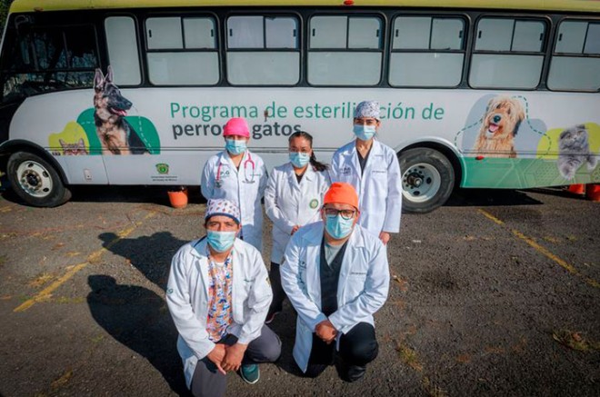 #Video: Esta es tu señal para esterilizar a tu mascota gratis con programa de la #UAEMéx