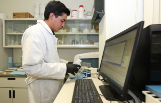 Investiga UAEM biopelícula para acelerar regeneración de piel