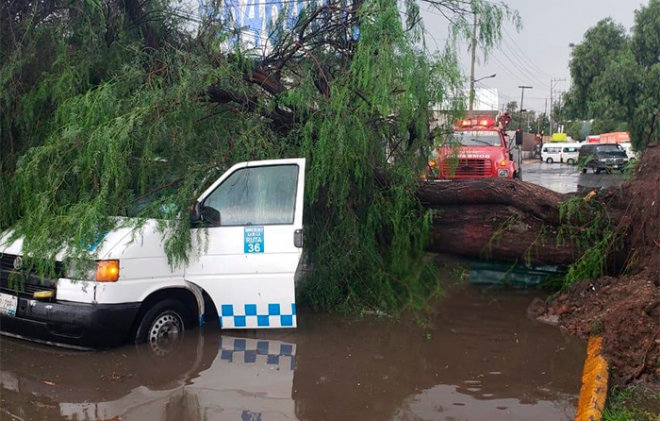 Árbol aplasta combi y muere un pasajero