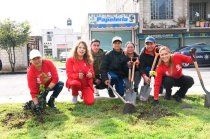 San Mateo Atenco acumula 13 mil 450 árboles y plantas sembrados durante 2026.