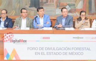 &quot;Veda forestal no resolvería problemas de tala clandestina en Edomex&quot;: legislador