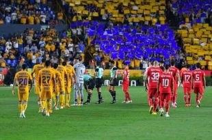 Los Diablos y Felinos se han enfrentado 61 veces en Torneos Cortos en Liga-Liguilla, y el balance favorece a los Diablos.