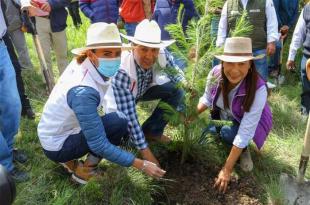 El objetivo es abatir el déficit de masa forestal.