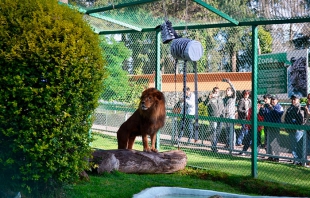 Zoológico de Zacango, sede Congreso Internacional de Promotores del bienestar animal