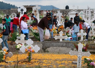 Se visten panteones de comunidades otomíes de pétalos de cempasúchil