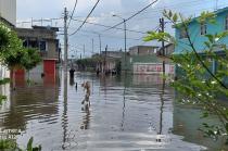 Al lugar arribaron cuerpos de emergencias para auxiliar a la población