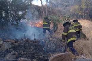 Incendio en el cerro de la Teresona