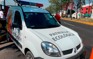 Toluca sigue a favor del ambiente, vehículos que contaminen serán retirados