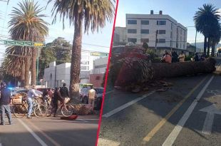 Los hechos tuvieron lugar sobre Avenida Hidalgo a la altura del Pollo Feliz