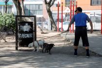 Se destinó un área para perros que ocupa 40 por ciento de la superficie del lugar