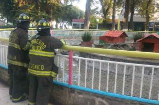 Ahora solo quedan 13 patos en la fuente de la Alameda de Toluca.