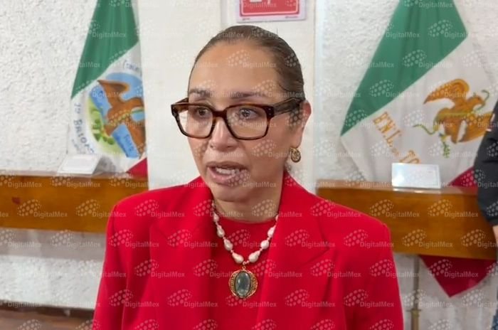 Azucena Cisneros impugnó la resolución del TEEM y pidió continuar las investigaciones.