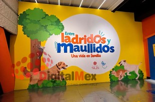 Horario: martes a domingo, de 10:00 a 18:00 horas.