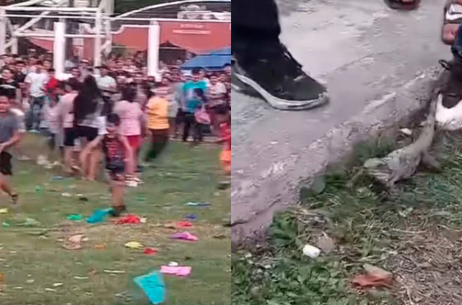 #Video: ¡Indignante! Usan animales vivos como piñatas en evento de #Campeche