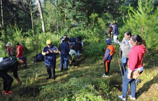 En tres años Metepec tendrá más de 24 mil nuevos árboles