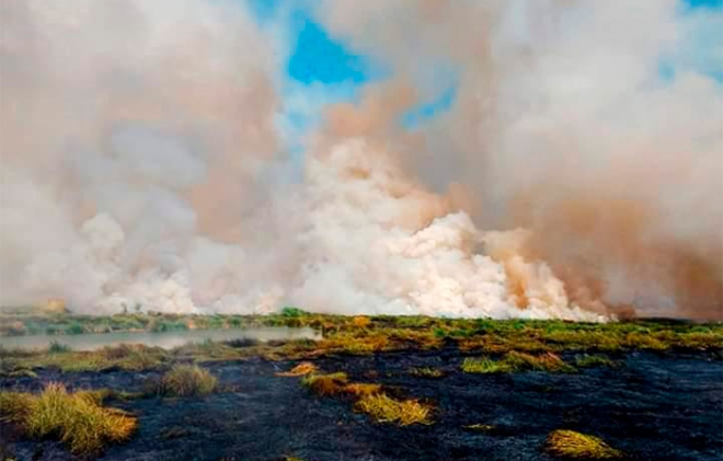 #Video #Atenco: Incendio afecta 40 hectáreas de reserva ecológica; evacuan escuela