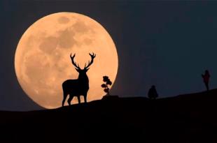 Esta luna será la superluna más grande que se podrá observar durante 2022.