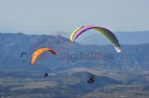 Abierto de Parapente Monarca 2022