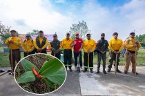 Servidores públicos y vecinos se sumaron a la jornada de Reforestación Urbana 2026 en Coacalco.