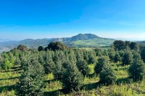 El presidente municipal subrayó el impacto positivo de esta iniciativa.