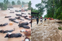 Autoridades instalaron 700 refugios y 265 hospitales de campaña mientras equipos de rescate evacuaban familias atrapadas.