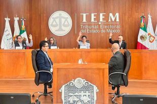 Tribunal Electoral del Estado de México (TEEM)