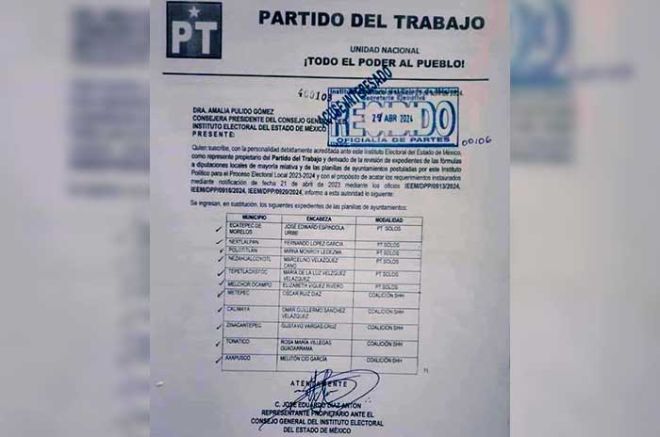 La dirigencia nacional tomó las riendas del partido