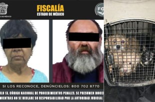 Los caninos y gatos rescatados quedarán bajo resguardo de la Asociación “Seres Libres” en Tepetlaoxtoc.