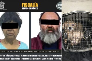 Los caninos y gatos rescatados quedarán bajo resguardo de la Asociación “Seres Libres” en Tepetlaoxtoc.