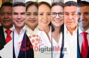 Manuel Cadena, Alejandro Moreno, Ana Lilia Herrera, Cristina Ruiz, Paola Jiménez, Braulio Álvarez, Juan Maccise