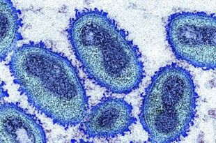 La OMS identificó enfermedades contagiosas prioritarias, que probablemente causarán la próxima pandemia.