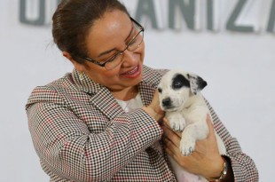 La presidenta municipal Azucena Cisneros Coss y la Comisión Estatal de Parques Naturales y de la Fauna (Cepanaf), que dirige Alma Tapia Maya, firmaron un convenio de colaboración, cuyo propósito primordial es garantizar protección, bienestar, trato digno, ético, respetuoso y responsable de los animale
