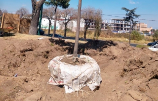 Gaby Gamboa atenderá añejo problema de inundaciones en la vía Toluca-Tenango
