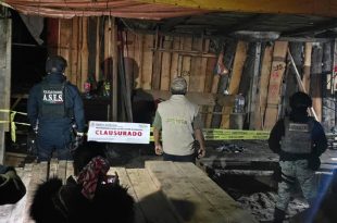 Autoridades federales y estatales aseguraron madera y maquinaria en tres puntos intervenidos en Santa Lucía.