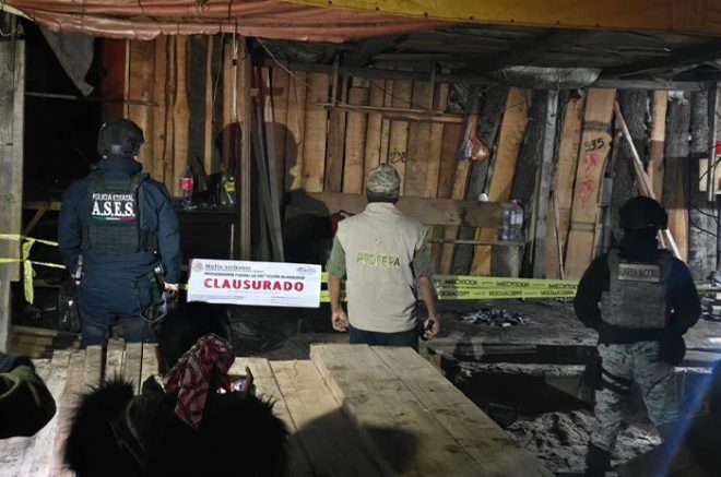 Autoridades federales y estatales aseguraron madera y maquinaria en tres puntos intervenidos en Santa Lucía.