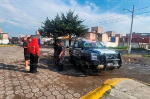 La FGJEM inició una investigación para determinar el origen de los restos y si pertenecen a una o más personas.