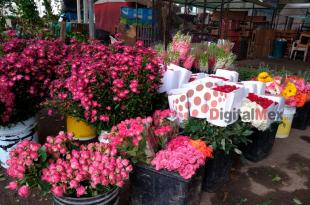 El 14 de febrero, el Día de las Madres, Día de los Fieles Difuntos, de la Virgen de Guadalupe y Navidad son las fechas más simbólicas para los productores florícolas de la entidad.