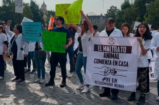 Los veterinarios vistieron de blanco con moños negros, y portaron carteles solicitando el esclarecimiento completo del caso.